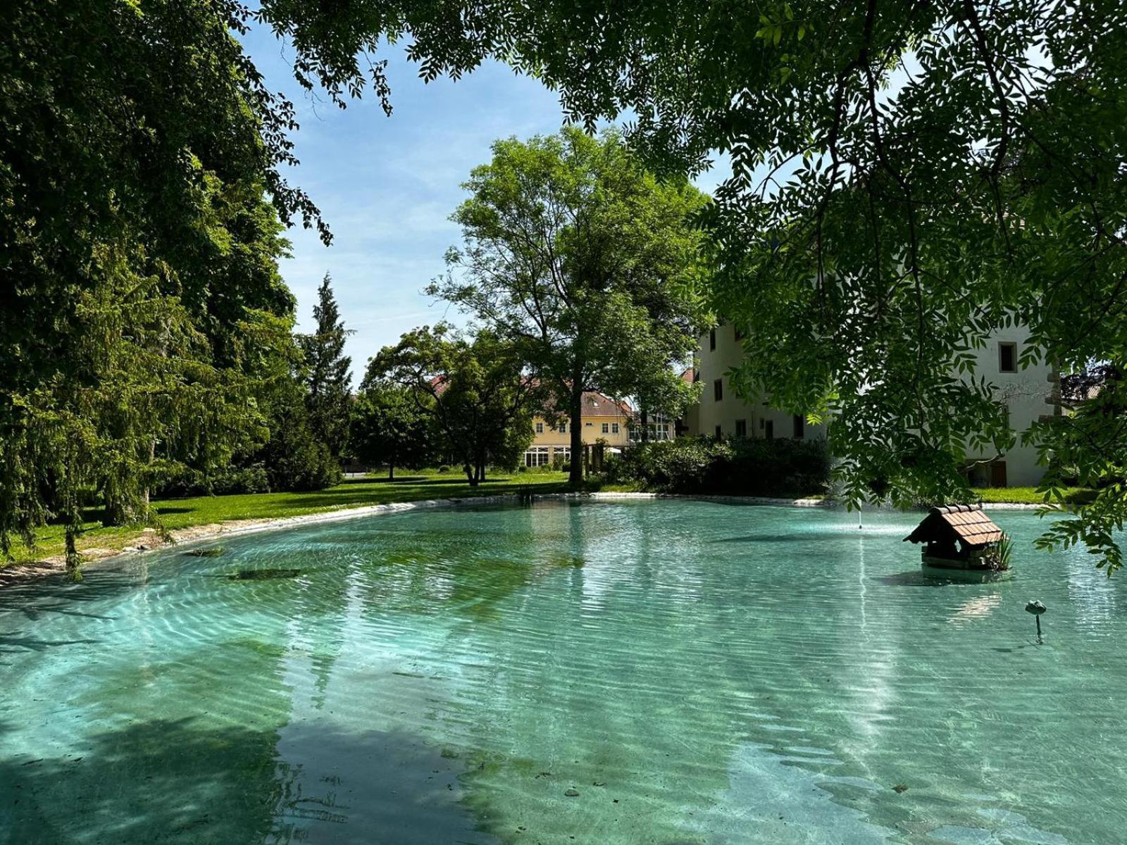 Schloss Neckarbischofsheim 外观 照片