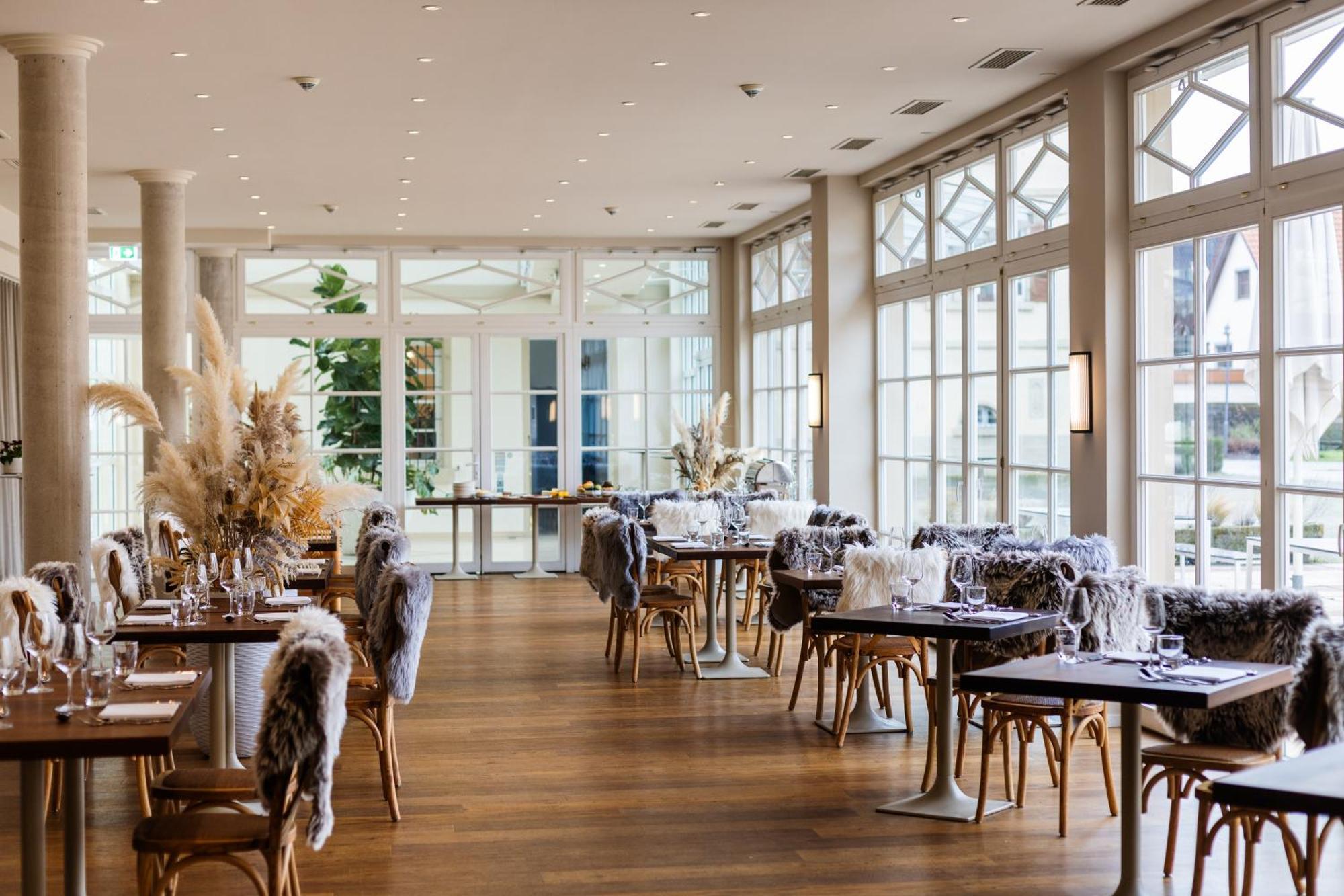 Schloss Neckarbischofsheim 外观 照片